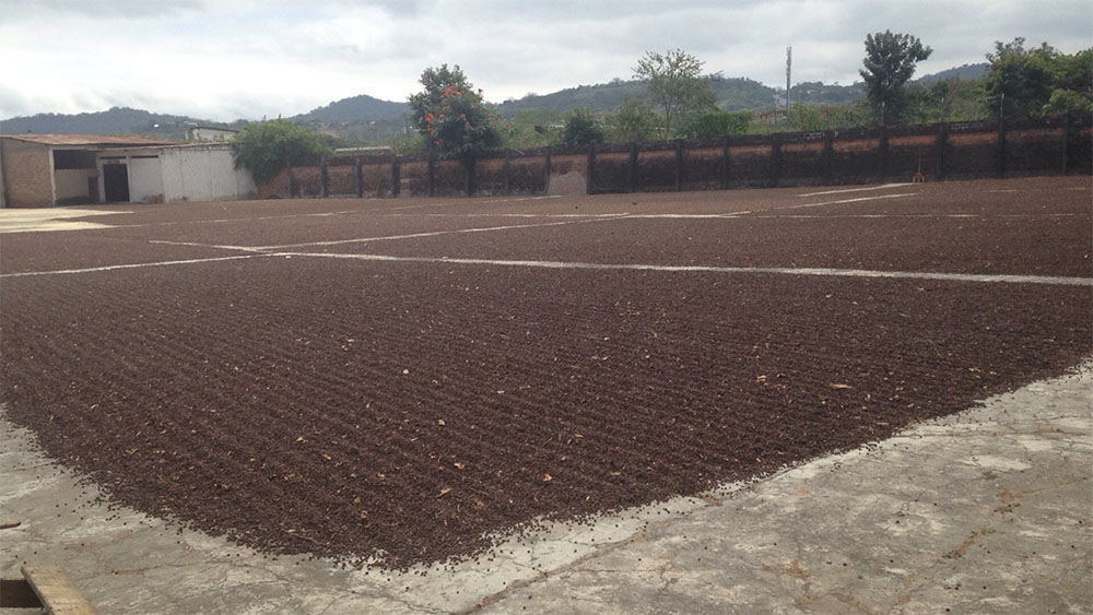 Desde uno de los patios de Beneficio
